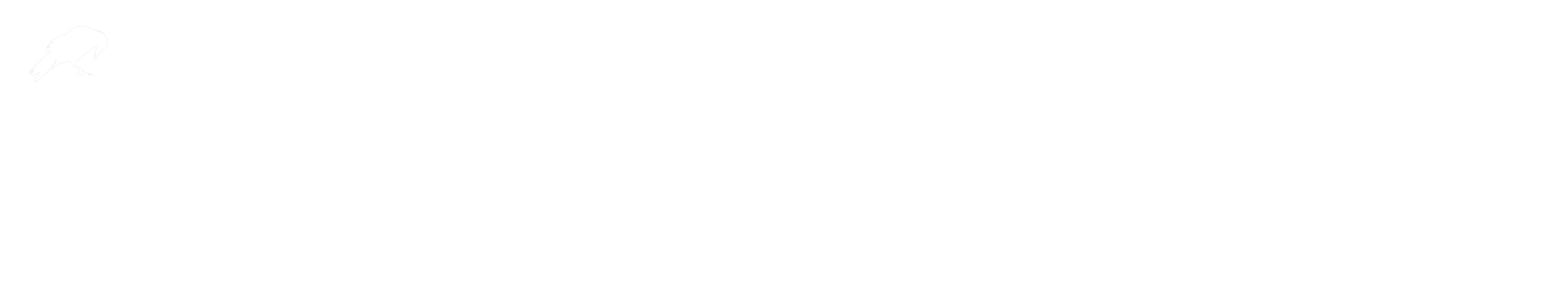 Logo alb
